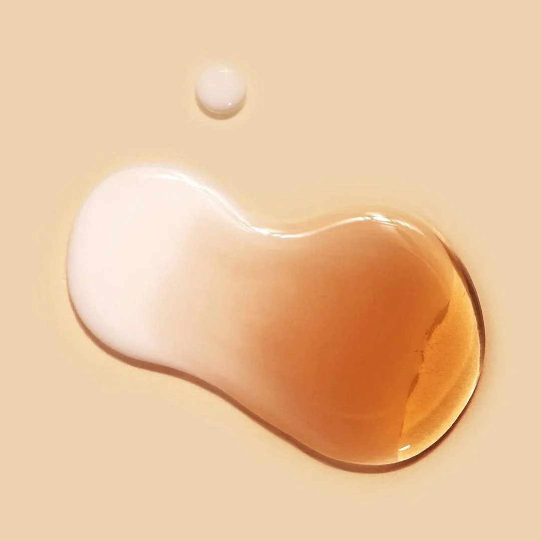 Vegan Kombucha Tea Beginning Set - 50 ml + 30 g - Image 4